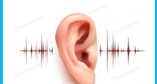 کلینیک شنوایی سنجی پویا